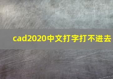 cad2020中文打字打不进去