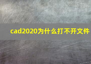 cad2020为什么打不开文件