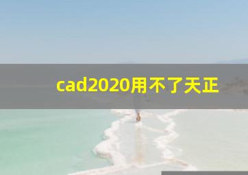 cad2020用不了天正