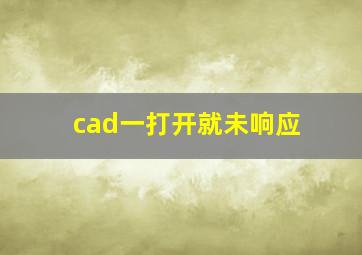 cad一打开就未响应