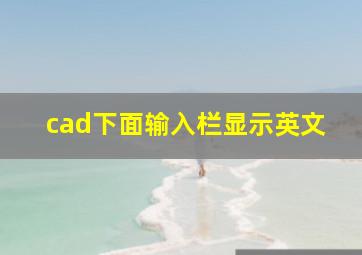 cad下面输入栏显示英文