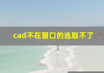 cad不在窗口的选取不了