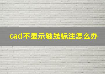 cad不显示轴线标注怎么办