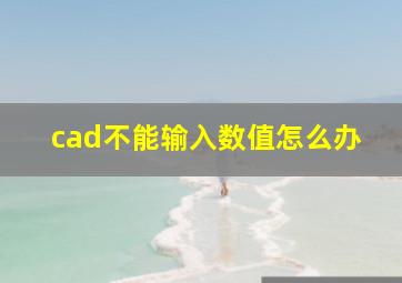 cad不能输入数值怎么办