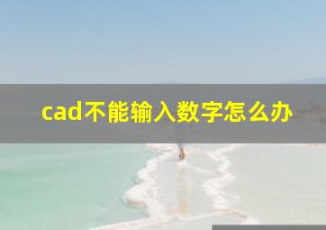 cad不能输入数字怎么办