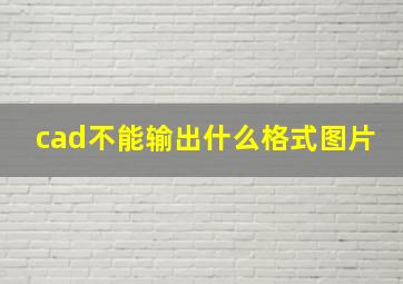 cad不能输出什么格式图片