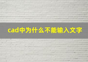 cad中为什么不能输入文字