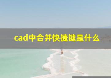 cad中合并快捷键是什么