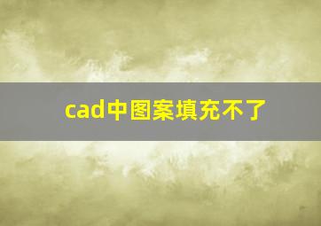 cad中图案填充不了