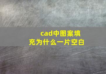 cad中图案填充为什么一片空白