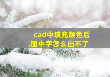 cad中填充颜色后,图中字怎么出不了