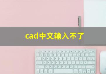 cad中文输入不了