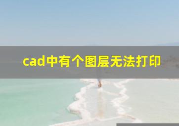 cad中有个图层无法打印