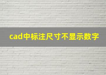 cad中标注尺寸不显示数字