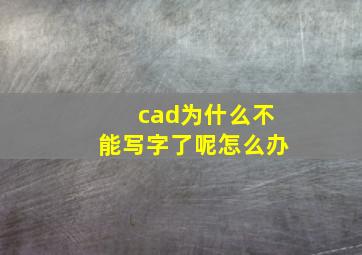 cad为什么不能写字了呢怎么办