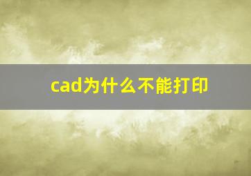 cad为什么不能打印