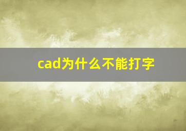 cad为什么不能打字