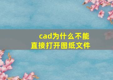 cad为什么不能直接打开图纸文件