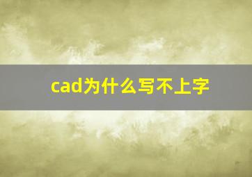 cad为什么写不上字