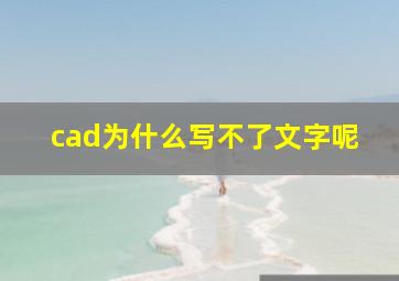 cad为什么写不了文字呢