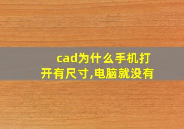 cad为什么手机打开有尺寸,电脑就没有