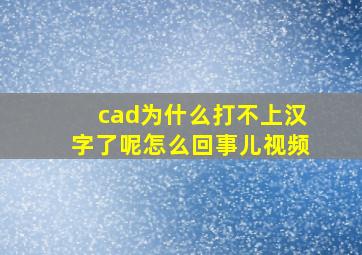 cad为什么打不上汉字了呢怎么回事儿视频