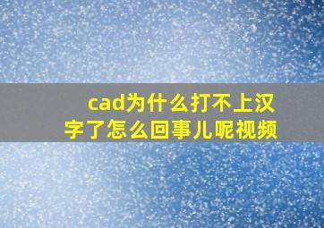 cad为什么打不上汉字了怎么回事儿呢视频