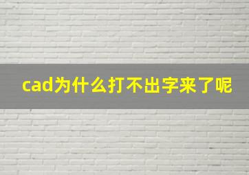 cad为什么打不出字来了呢