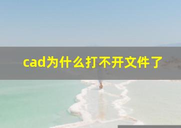 cad为什么打不开文件了