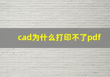 cad为什么打印不了pdf