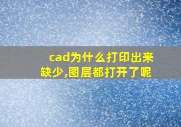 cad为什么打印出来缺少,图层都打开了呢