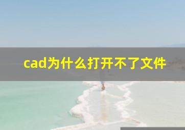 cad为什么打开不了文件