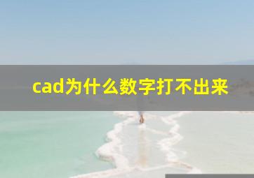 cad为什么数字打不出来