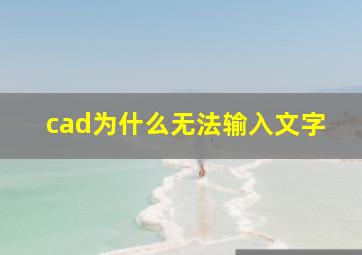 cad为什么无法输入文字