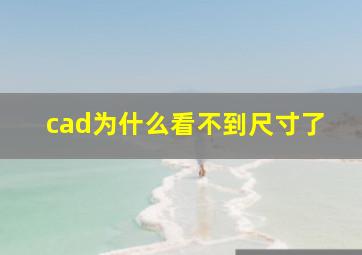 cad为什么看不到尺寸了