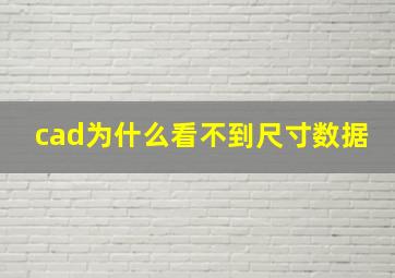 cad为什么看不到尺寸数据