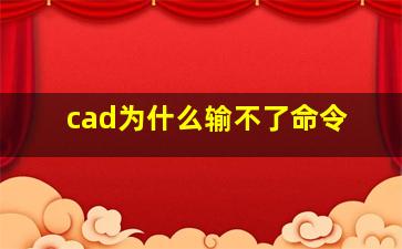 cad为什么输不了命令