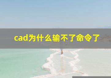 cad为什么输不了命令了