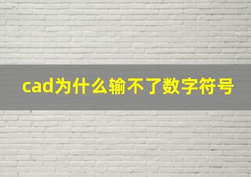 cad为什么输不了数字符号