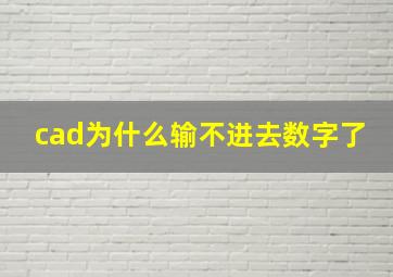 cad为什么输不进去数字了