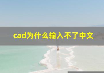 cad为什么输入不了中文