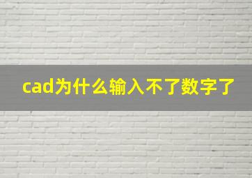 cad为什么输入不了数字了