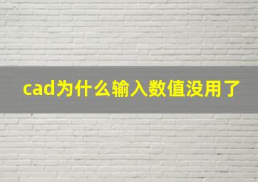 cad为什么输入数值没用了