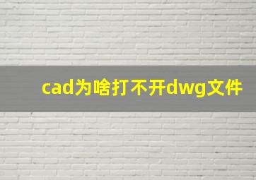 cad为啥打不开dwg文件