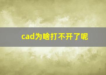 cad为啥打不开了呢