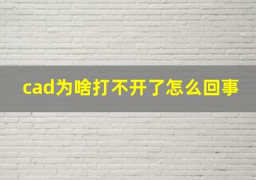 cad为啥打不开了怎么回事