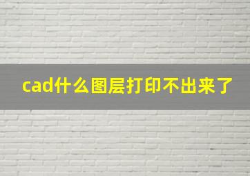 cad什么图层打印不出来了