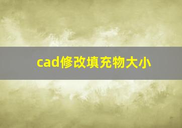 cad修改填充物大小