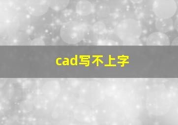 cad写不上字