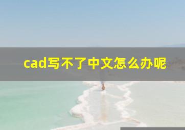 cad写不了中文怎么办呢